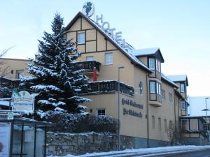 a building with a christmas tree in front of it at Hotel & Restaurant Zur Weintraube in Jena