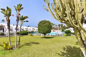 A garden outside The Secret Garden Holiday Home