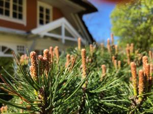Zahrada ubytování Hotel Residenz Rennhack