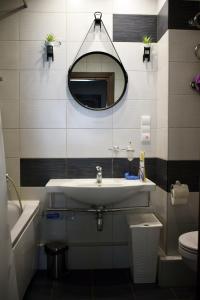een badkamer met een wastafel, een spiegel en een toilet bij Butterfly Apartment in Visaginas