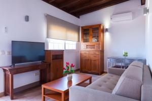 Televízia a/alebo spoločenská miestnosť v ubytovaní Apartamentos Mexico