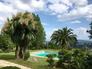 a swimming pool in a yard with two palm trees at Casal do Arcebispado in Felgueiras +14 photos