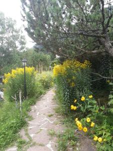 Ein Garten an der Unterkunft Country House Dolomiti