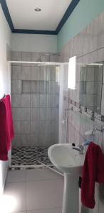a bathroom with a white sink and a shower at Villa Graf in Ongwediva +12 photos