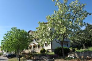 a large white house with trees in front of it at Apartments Stari Šibenik in Grebaštica