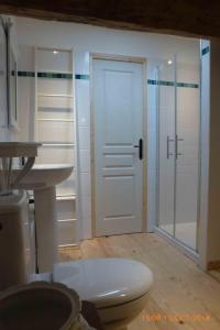 a bathroom with a shower and a white door at Gite le grenier des maraichers in Albigny-sur-Saone