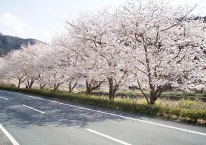 日式旅馆周边自然景观