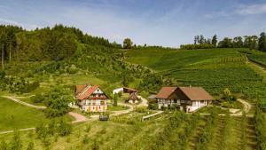 una vista aérea de un pueblo en una colina verde en Steinhof, en Oberkirch