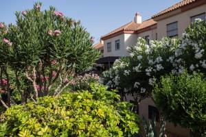 Fotografie z fotogalerie ubytování Casa Maurice v destinaci Sanlúcar de Barrameda
