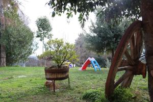 Vonkajšia záhrada v ubytovaní B&B Severini