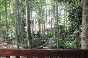 Zahrada ubytování Truong Xuan Ecology
