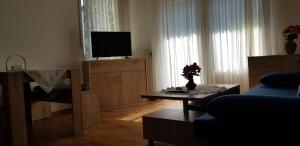 uma sala de estar com uma televisão e uma mesa em Haus Schneider em Winterberg