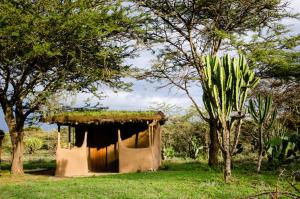 Zdjęcie z galerii obiektu Maji Moto Maasai Cultural Camp w mieście Narok