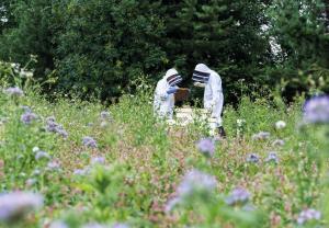 two people are standing in a field of flowers at North Lakes Hotel and Spa in Penrith