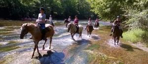 a group of people riding horses through a river at Cottage Poppy in Tursac