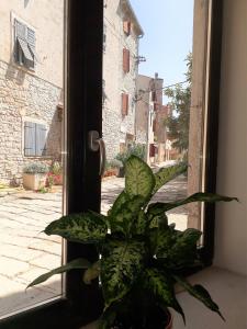 Fotografie z fotogalerie ubytování Barbiere Guest House v destinaci Bale