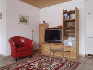 TV a/nebo společenská místnost v ubytování Chalet Asterix