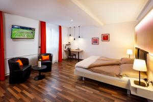 TV a/nebo společenská místnost v ubytování Hotel Jardin Bern