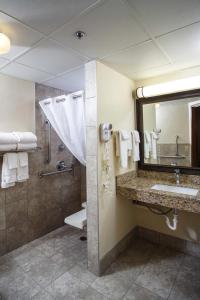 a bathroom with a sink and a toilet and a mirror at AmericInn by Wyndham Green Bay West in Green Bay