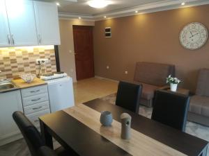 Kuchyň nebo kuchyňský kout v ubytování Apartman Bogić + 25 fotografií