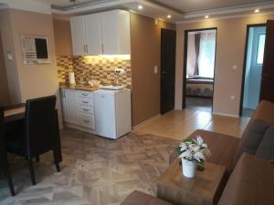 Kuchyň nebo kuchyňský kout v ubytování Apartman Bogić