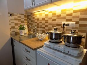 Η κουζίνα ή μικρή κουζίνα στο Apartman Bogić
