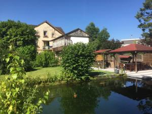 a house with a pond in front of it at Walters Hostel Interlaken in Interlaken