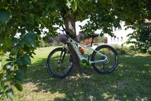 a bike parked in the grass under a tree at Cascina San Giorgio in Valenza