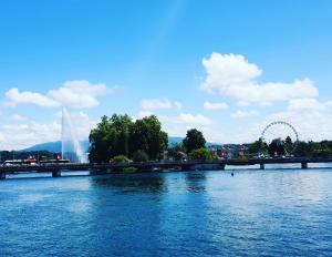a river with a bridge and a ferris wheel at The Ambassador in Geneva