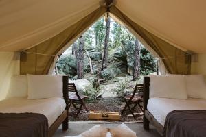 Foto dalla galleria di Under Canvas Mount Rushmore a Keystone