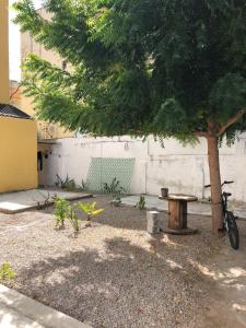 a bike parked under a tree next to a table at Casa Max in Fortaleza