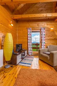 a living room with a couch and a television at Boskovica Brvnare in Žabljak