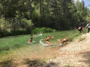 un groupe de personnes nageant dans une rivière avec un chien dans l'établissement Casas Rurales Chon Alto Tajo, à Peralejos de las Truchas