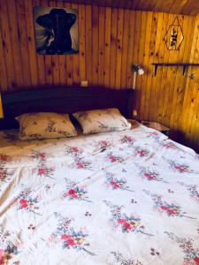 Ένα ή περισσότερα κρεβάτια σε δωμάτιο στο Apartmani Božana Vojinović