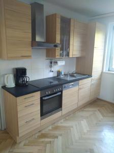 Kuchyň nebo kuchyňský kout v ubytování Appartment Lainz