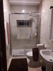 a bathroom with a shower with a toilet and a sink at Casa Cantinho dos Pais in Paredes de Coura