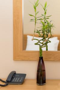 a vase with a plant in it next to a phone at Hotel Lirak in Tetovo