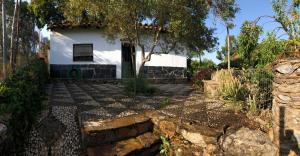 a house with a tree in front of a yard at Casa Papiqui in Fuenteheridos +63 photos