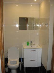 Kúpeľňa v ubytovaní Apartmány U Vlka