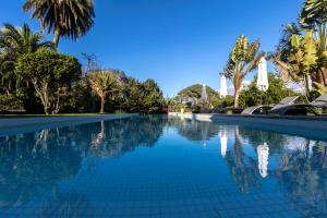 a swimming pool with palm trees and umbrellas at Quinta do Jasmim in Ponta Delgada