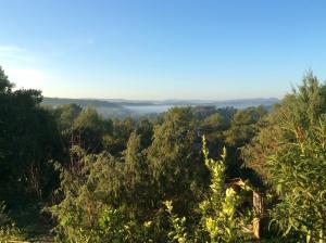 Příroda nedaleko venkovského domu + 2 fotografie