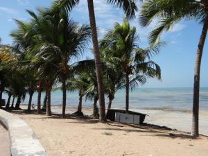 uma fileira de palmeiras numa praia com o oceano em EXPRESSO R1 HOTEL em Maceió