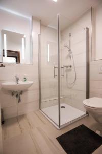 ein Bad mit einer Dusche, einem WC und einem Waschbecken in der Unterkunft Ferienwohnung Dennis in Lörrach