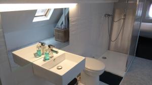 y baño con lavabo, aseo y ducha. en Résidence Surmont, en Ypres