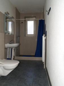 uma casa de banho com um WC, um lavatório e um chuveiro em Walters Hostel Interlaken em Interlaken