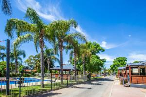 a fence with palm trees next to a pool at All Seasons Mildura Holiday Park in Mildura