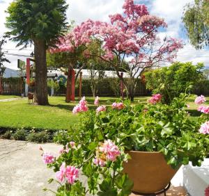 Gallery image of Chester´s B&B in Tababela