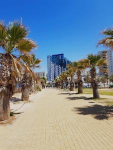 a sidewalk lined with palm trees in a city at Ashdod Beach Hotel in Ashdod