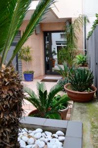 un patio con palmeras y plantas frente a una casa en B&B Dimora Silvestri, en Polignano a Mare