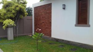 a plant in a yard next to a brick wall at Villa A50 in Negombo